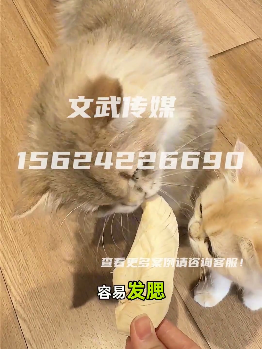 10 鸡小胸