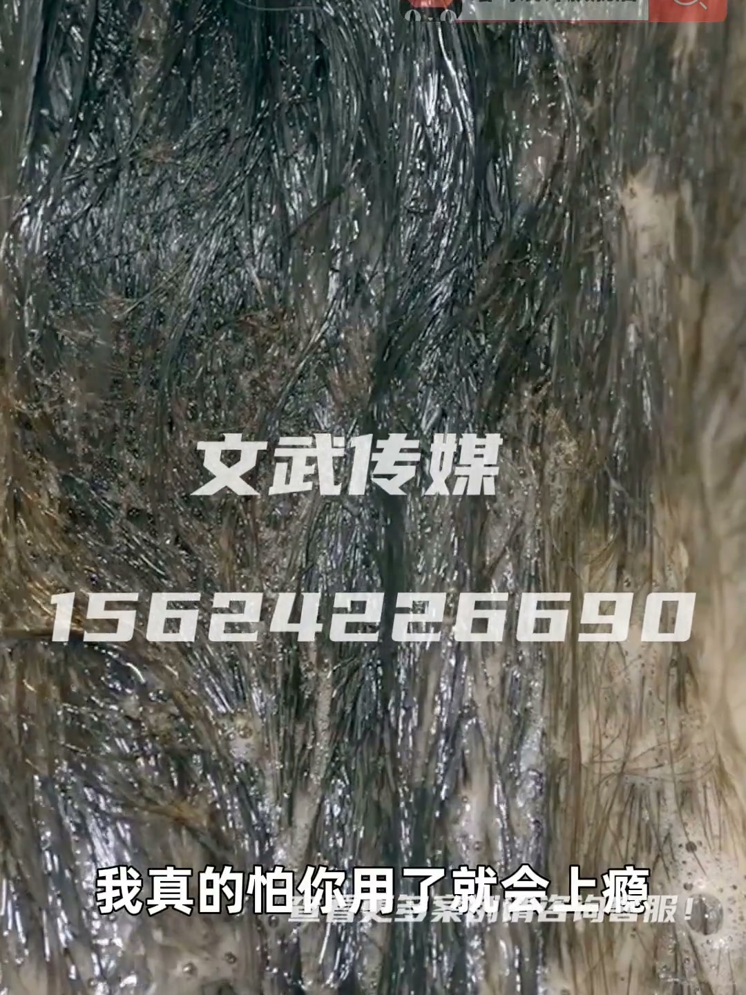 专业相机产品静物视频案例—美妆护肤类目—洗发露+发膜成片 修改