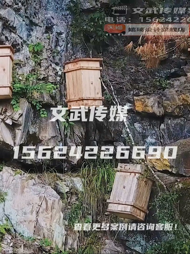 主图视频案例—蜂蜜