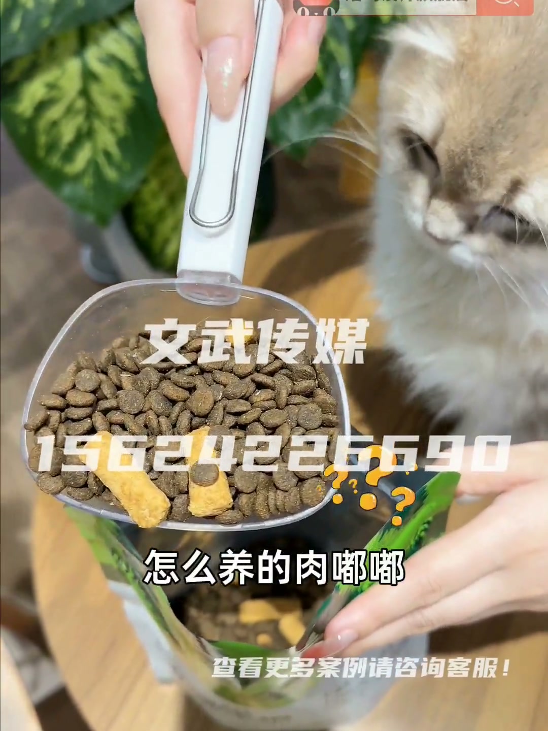 产品视频 日用百货 手机拍摄案例 猫粮