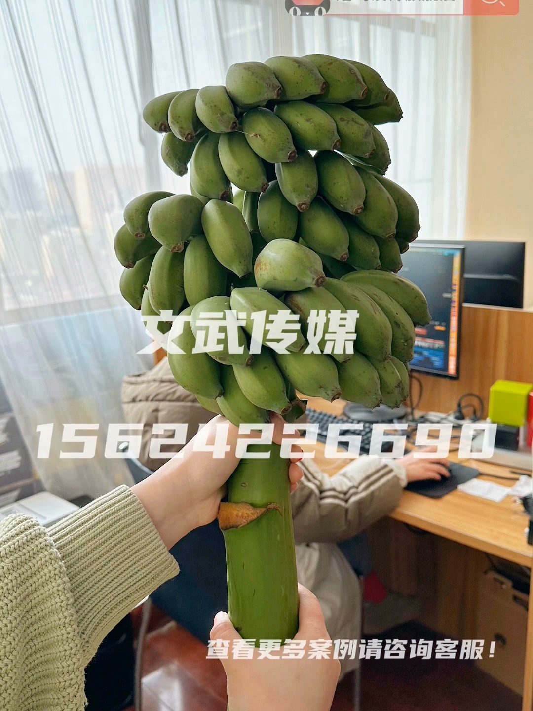 产品视频 食品保健类目 手机拍摄案例 哎小巾2焦绿1