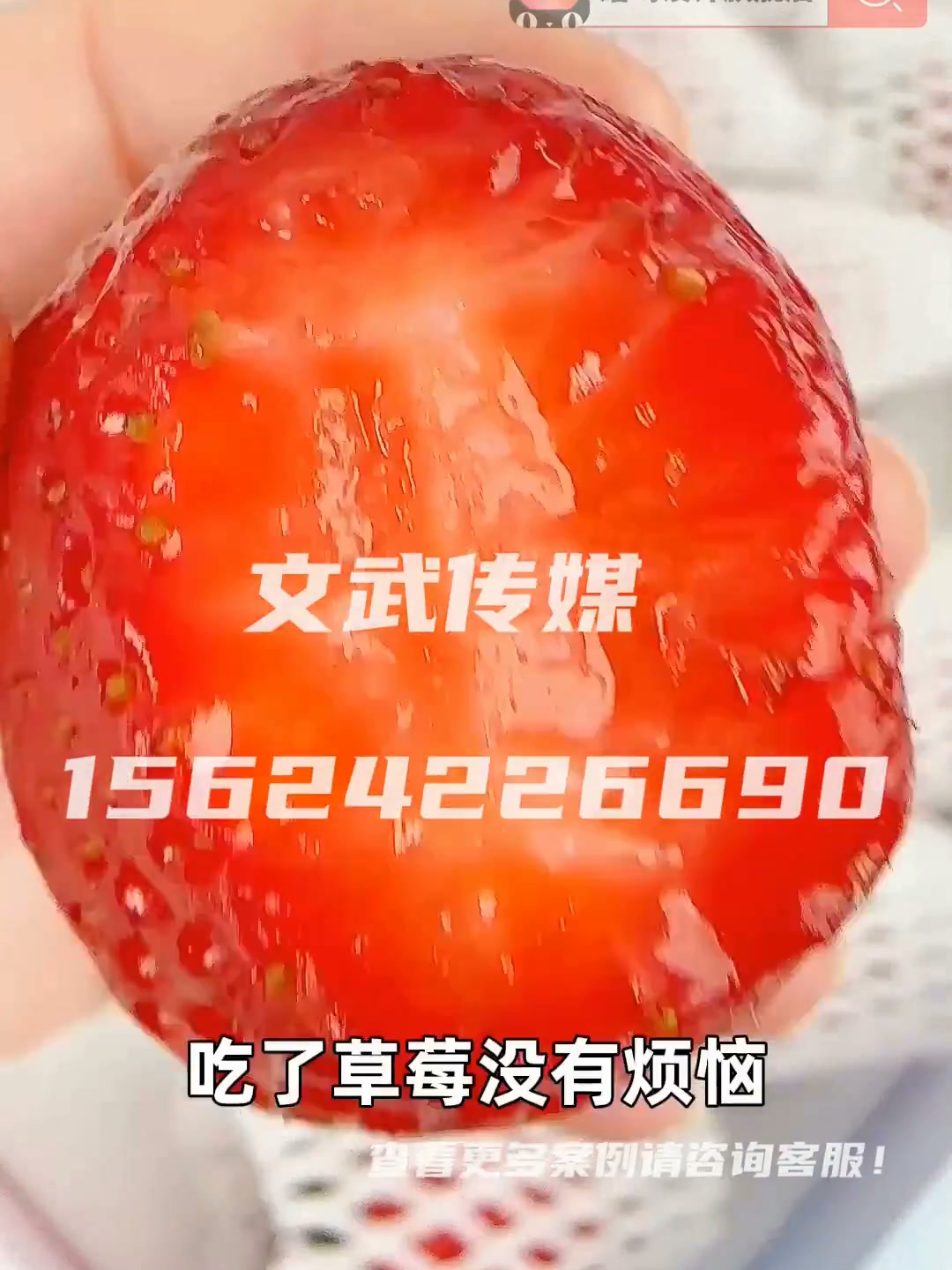 产品视频 食品保健类目 手机拍摄案例 草莓 (2)