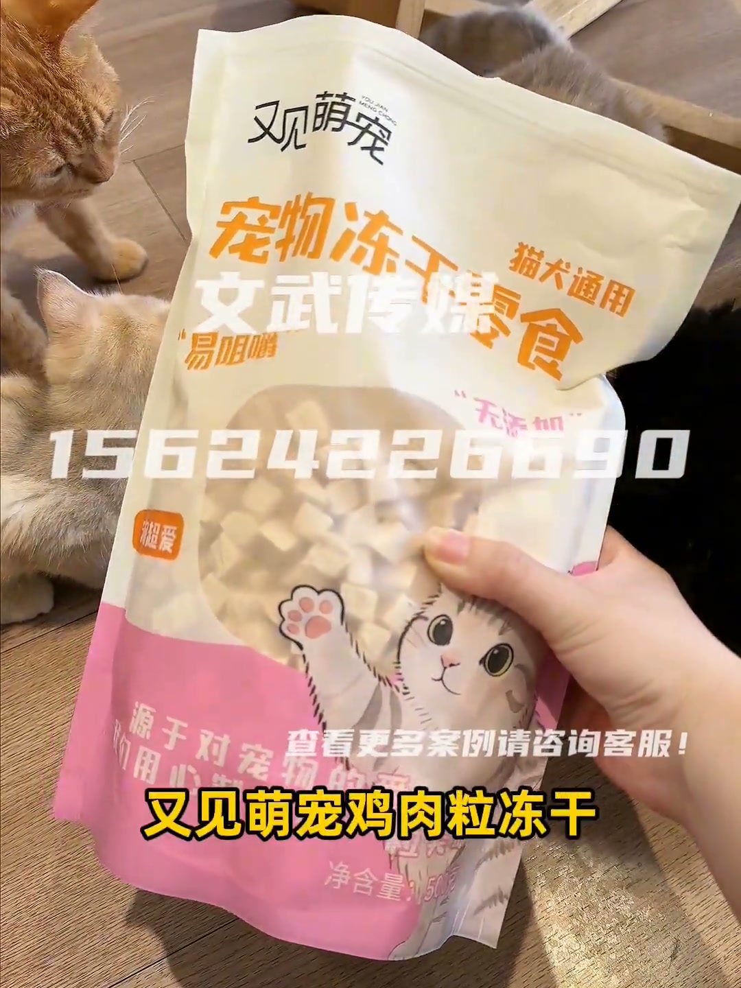 猫粮2 鸡肉粒
