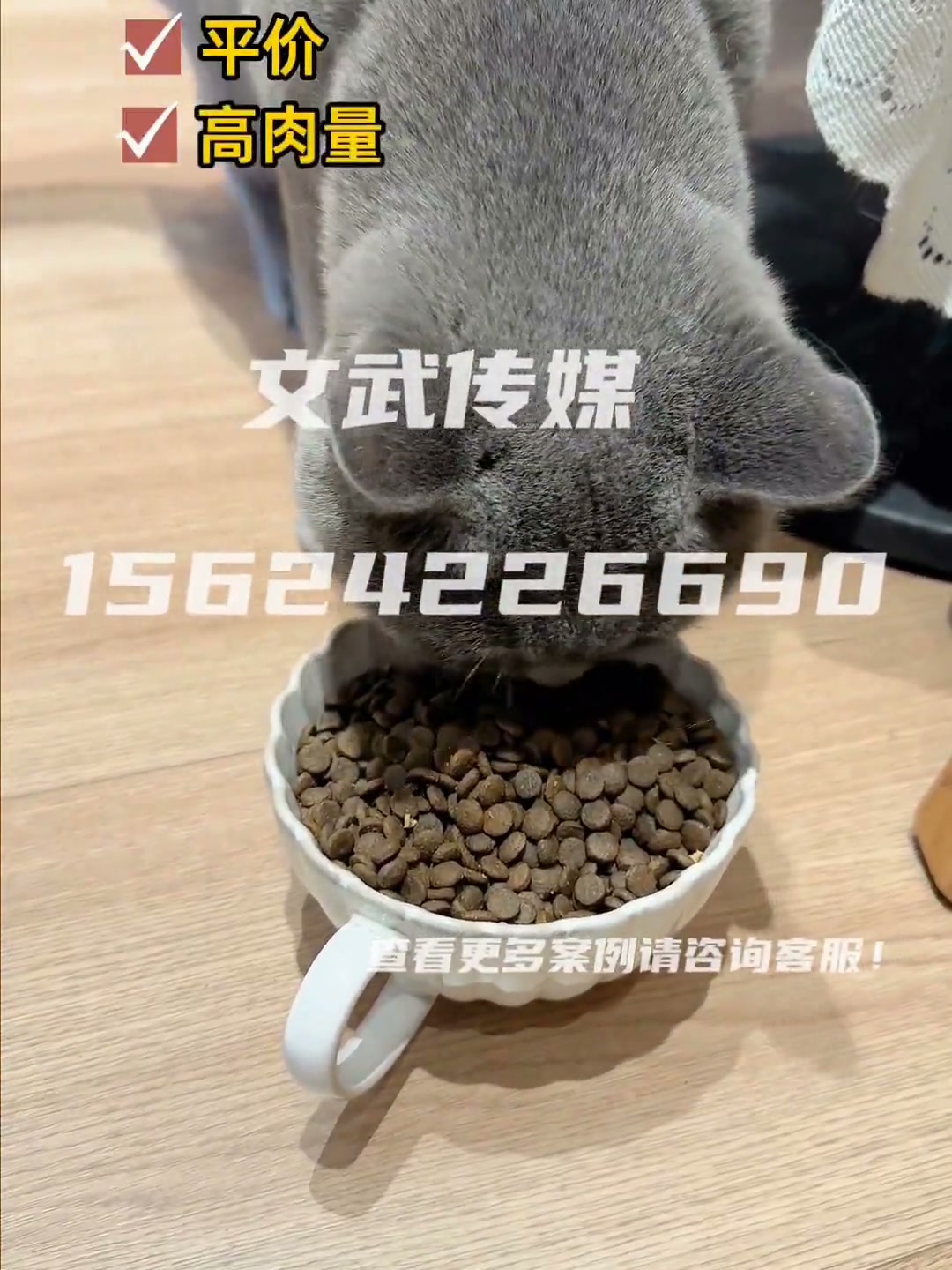 猫粮 (2)