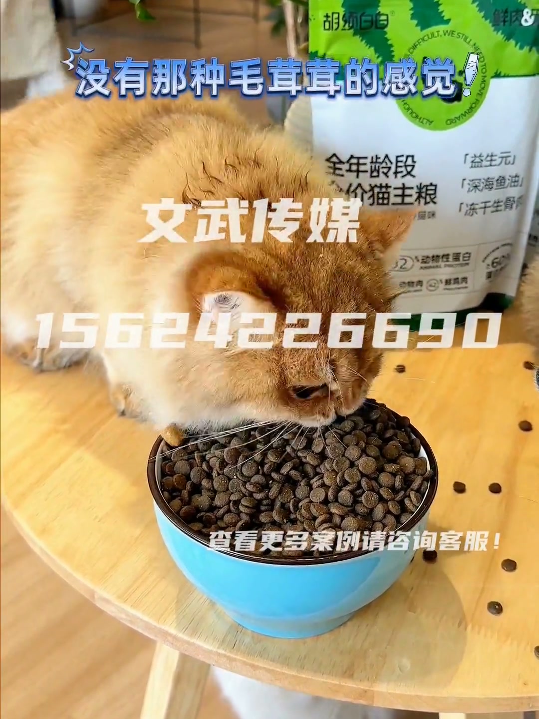 猫粮