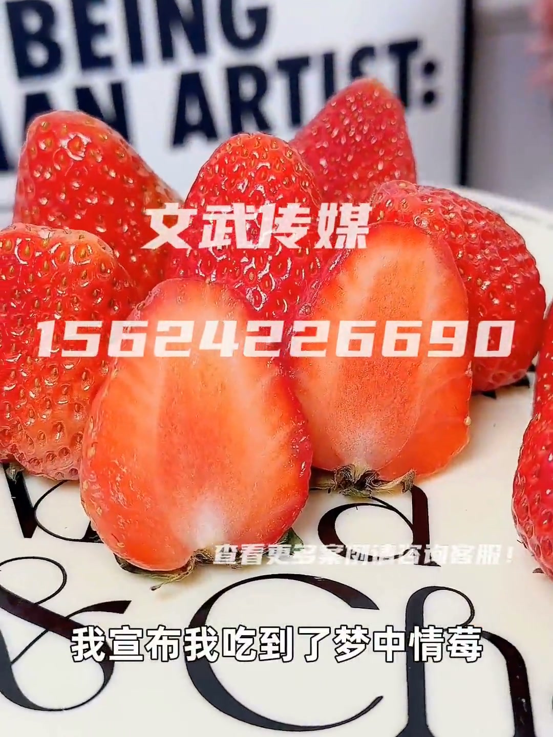 草莓24