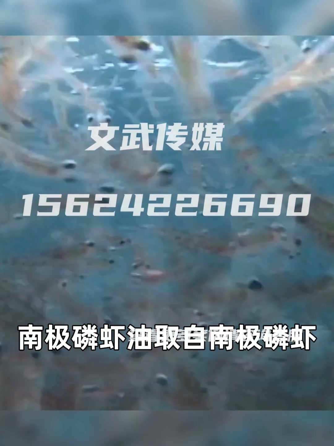 雪莹32成片