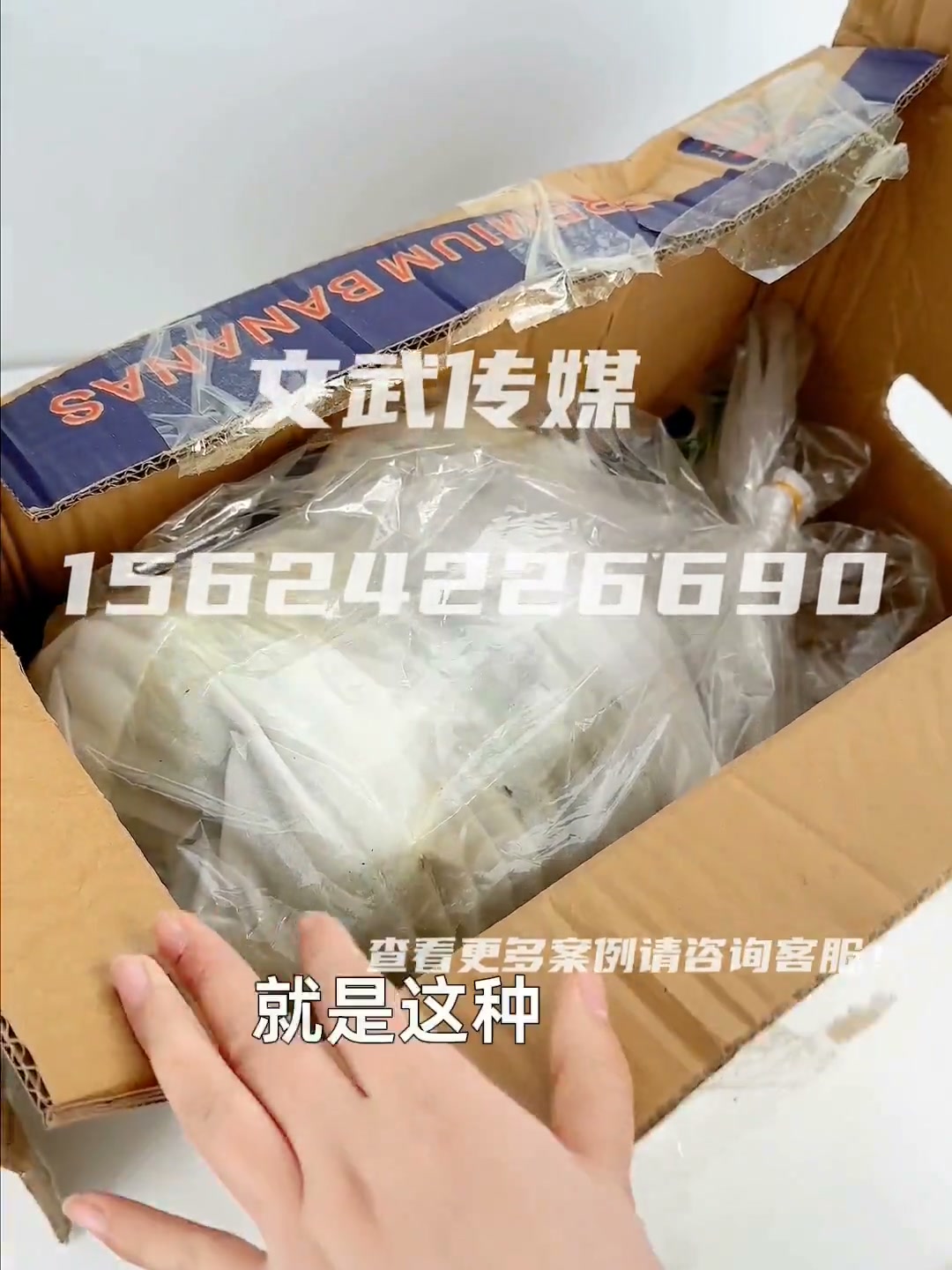香蕉
